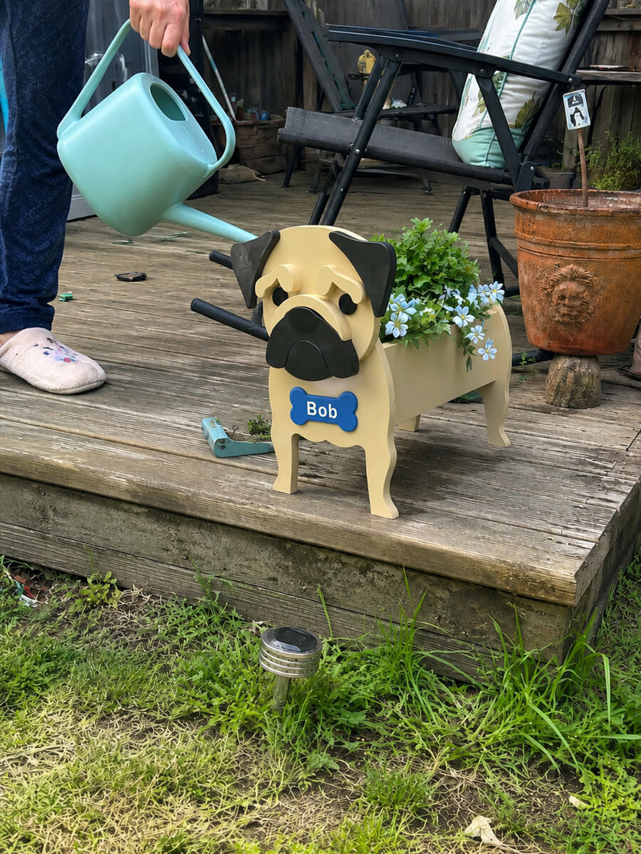 Pet Planter Customer Photo