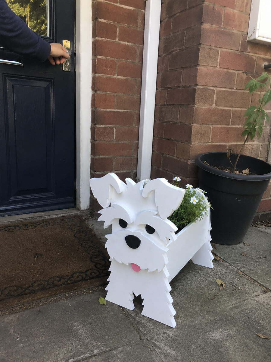 Pet Planter Customer Photo
