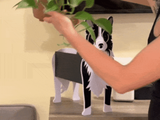 Pet Planter