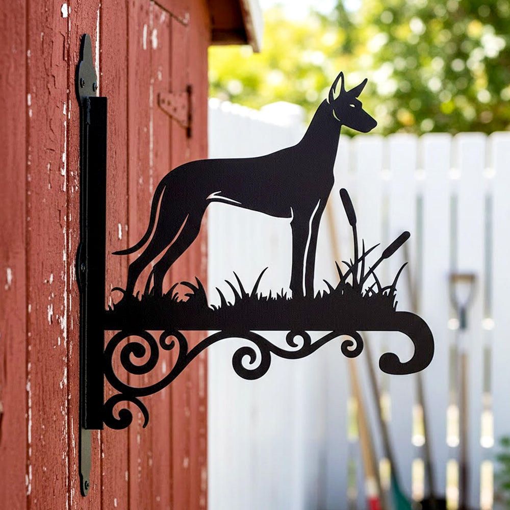 Pharaoh hound metal hanging basket bracket mounted on outdoor wall for plant decoration