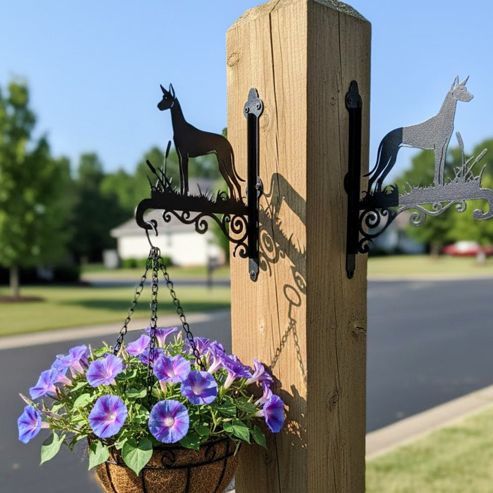 Pharaoh hound metal hanging basket bracket mounted on outdoor wall for plant decoration