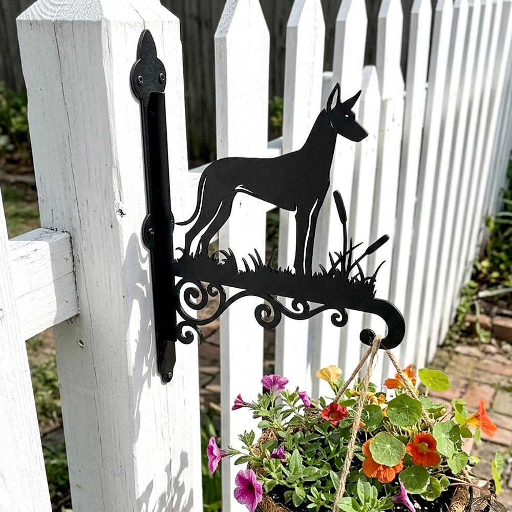 Pharaoh hound metal hanging basket bracket mounted on outdoor wall for plant decoration