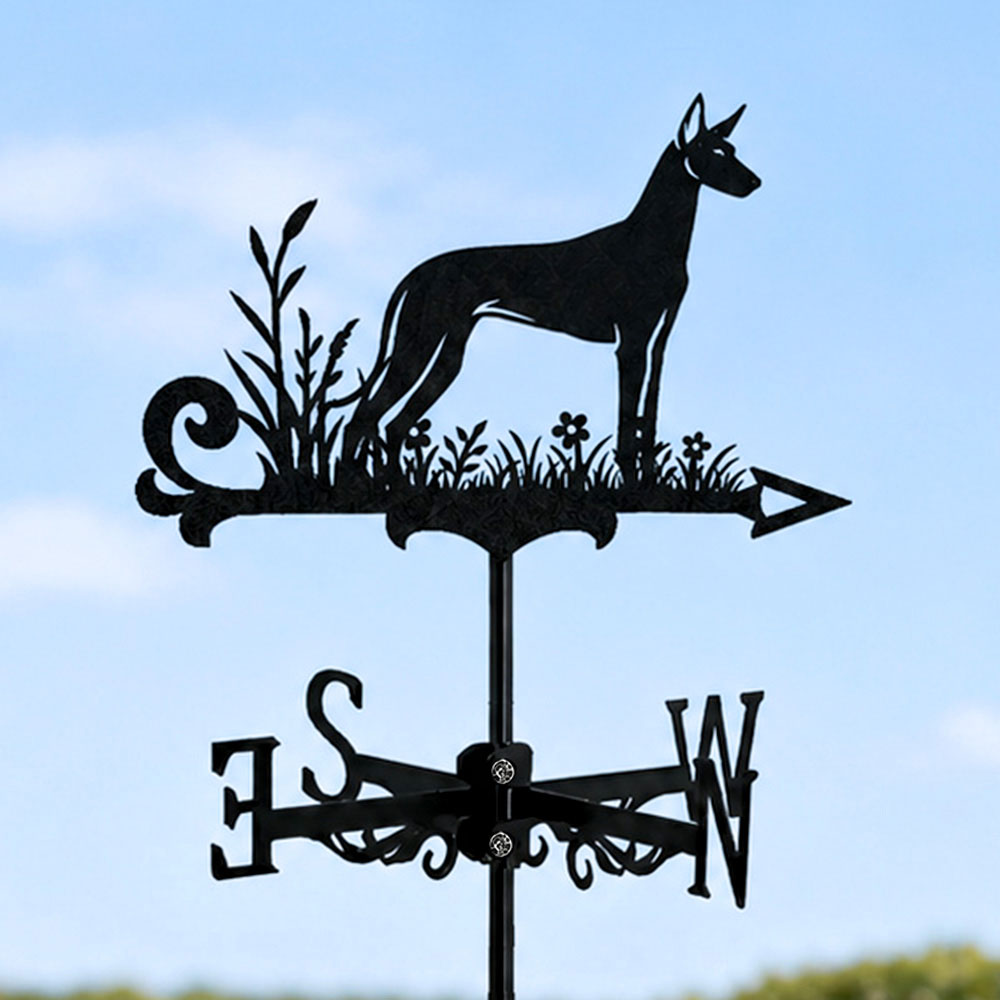 Pharaoh hound metal weather vane with directional arrows and mounting rod, outdoor roof and garden decoration