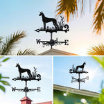 Pharaoh hound metal weather vane with directional arrows and mounting rod, outdoor roof and garden decoration