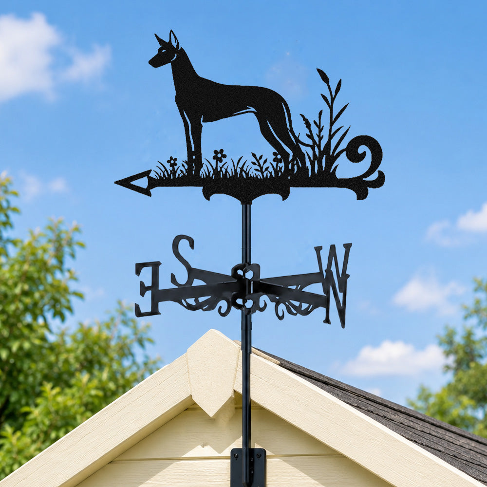 Pharaoh hound metal weather vane with directional arrows and mounting rod, outdoor roof and garden decoration