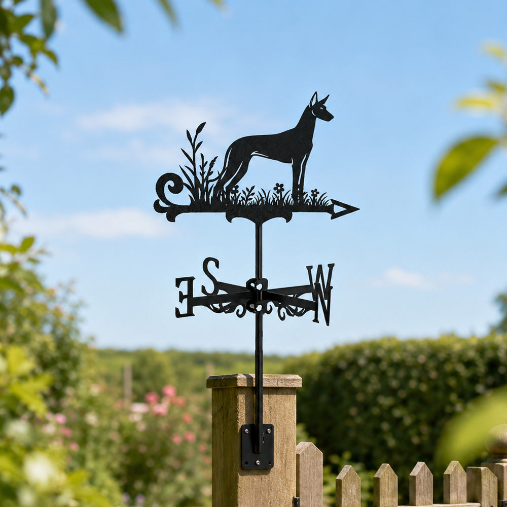 Pharaoh hound metal weather vane with directional arrows and mounting rod, outdoor roof and garden decoration