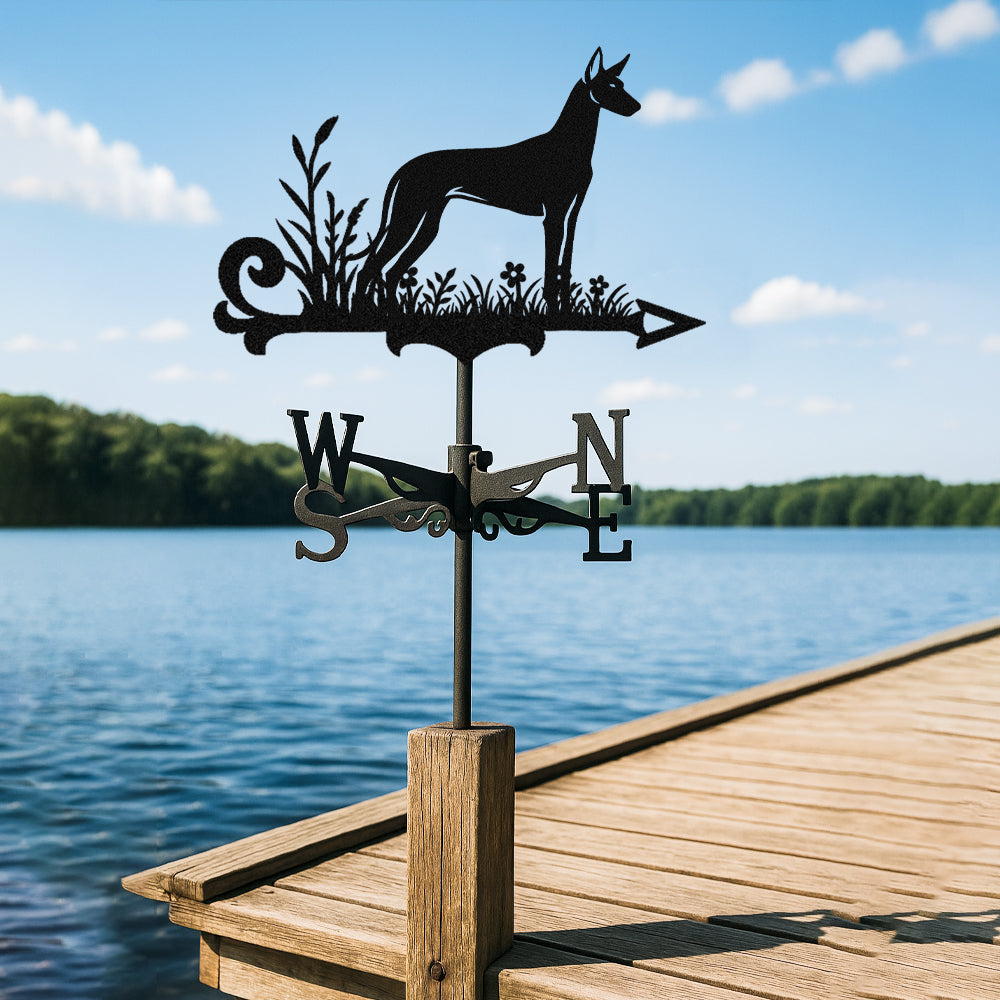 Pharaoh hound metal weather vane with directional arrows and mounting rod, outdoor roof and garden decoration