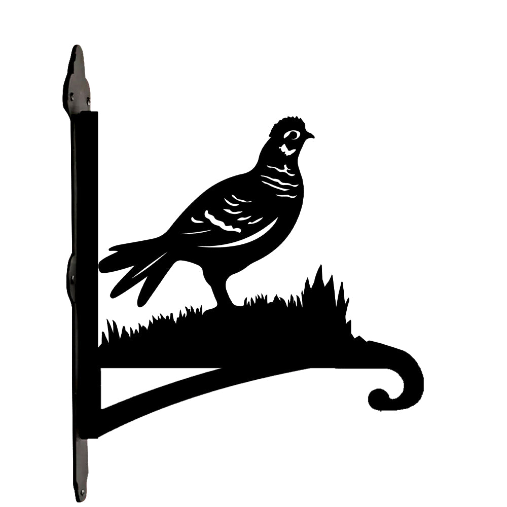 Pheasant bird metal hanging basket bracket mounted on outdoor wall for plant decoration