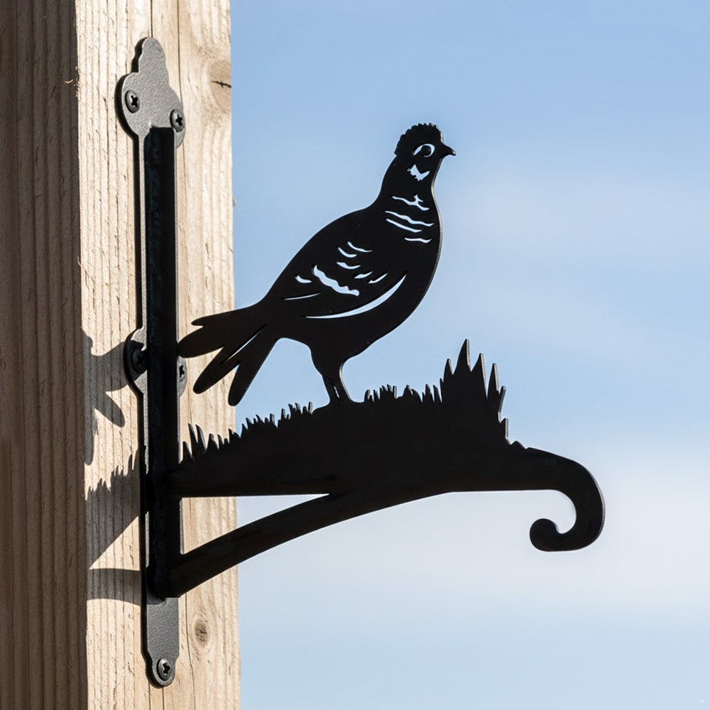 Pheasant bird metal hanging basket bracket mounted on outdoor wall for plant decoration