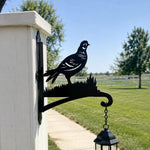 Pheasant bird metal hanging basket bracket mounted on outdoor wall for plant decoration