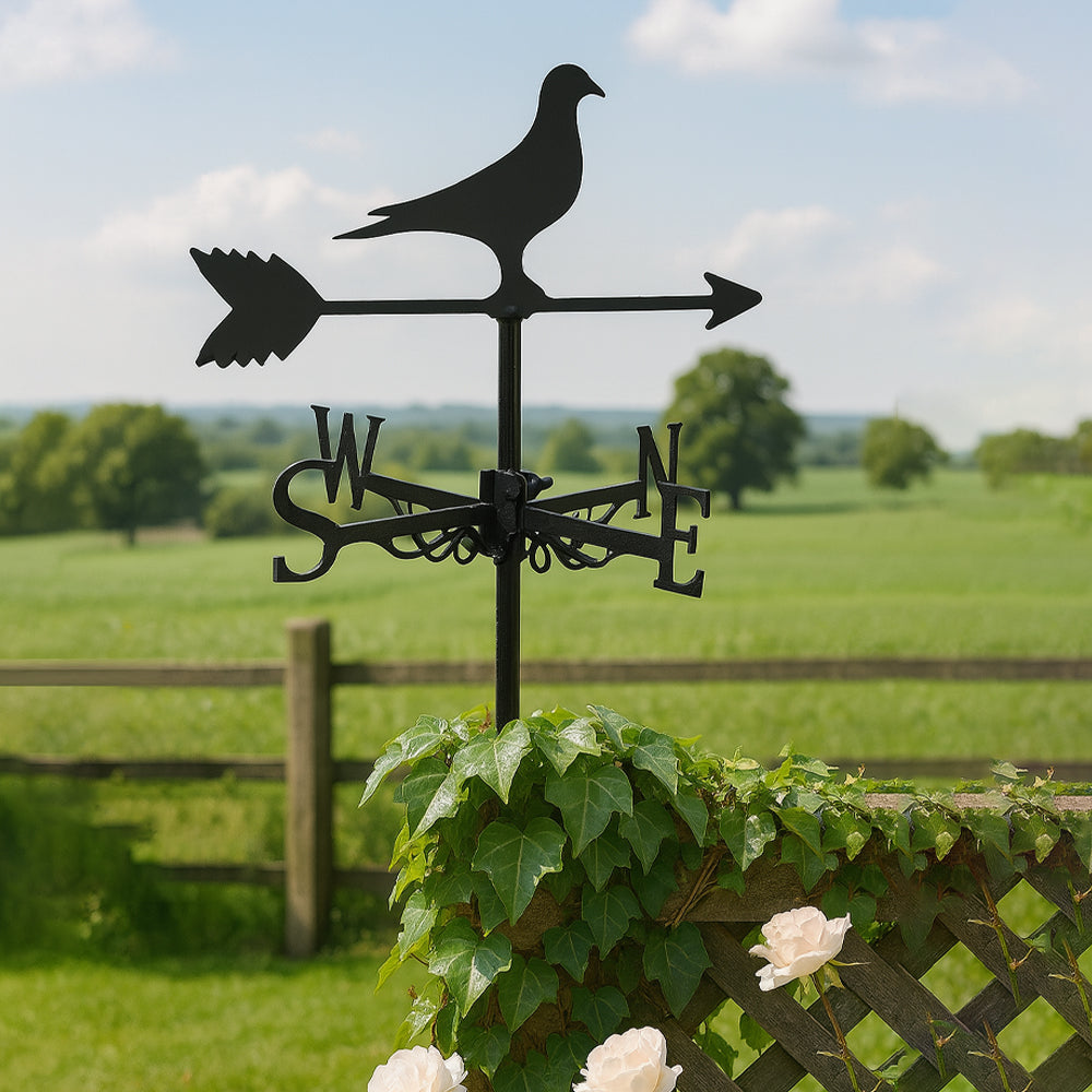 Pigeon metal weather vane with directional arrows and mounting rod, outdoor roof and garden decoration