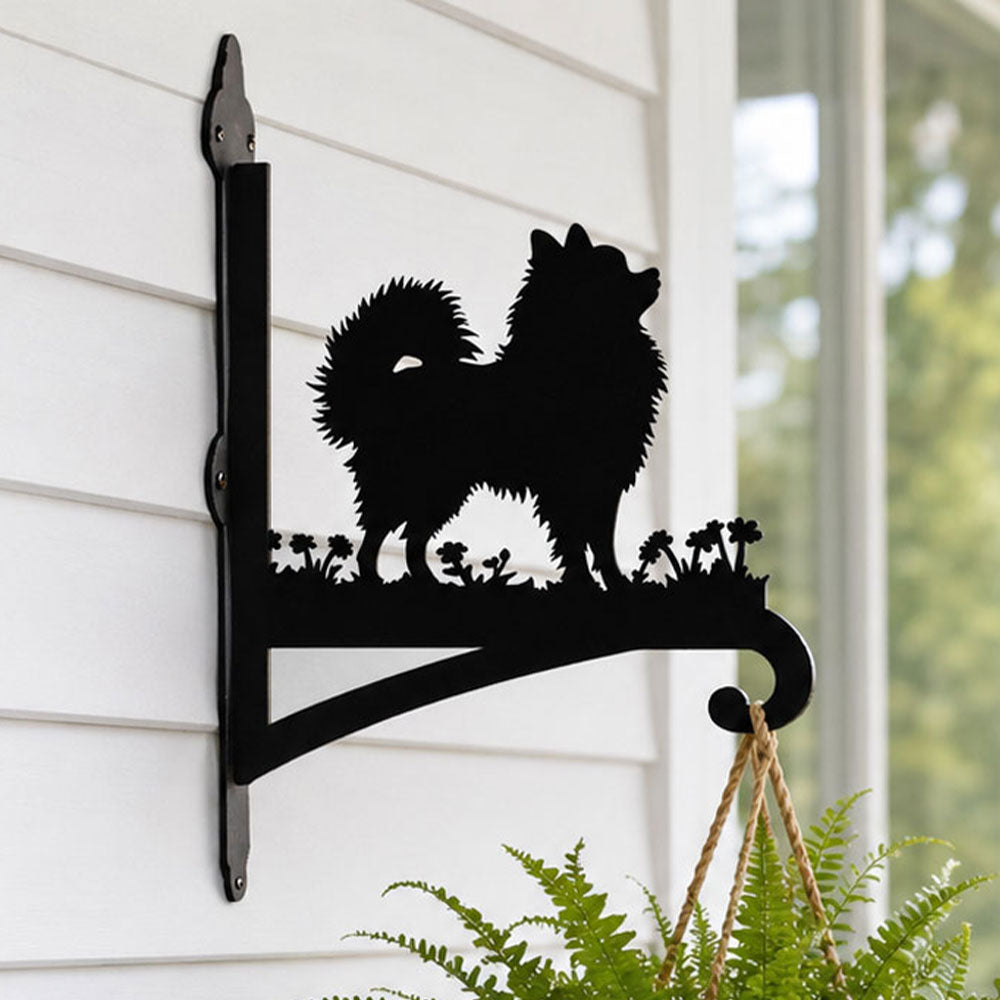 Pomeranian metal hanging basket bracket mounted on outdoor wall for plant decoration