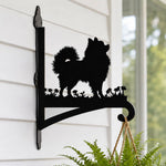 Pomeranian metal hanging basket bracket mounted on outdoor wall for plant decoration
