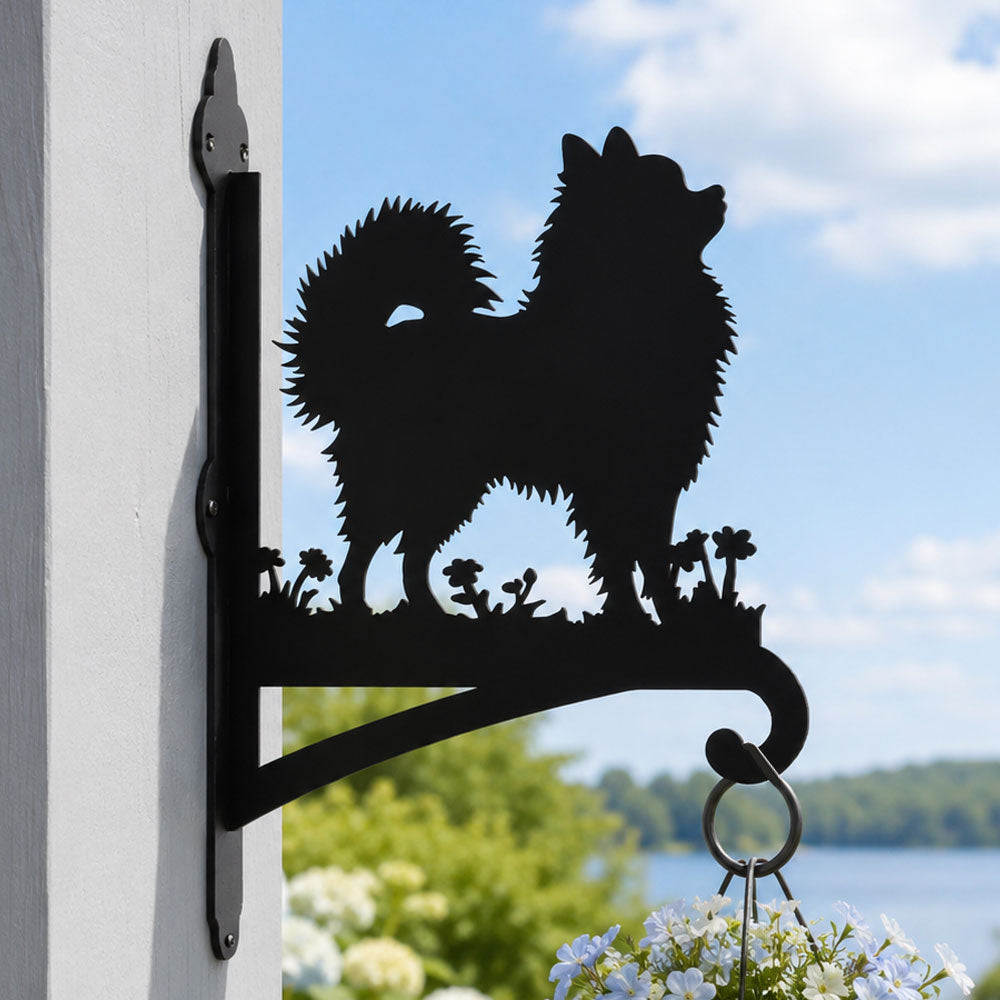 Pomeranian metal hanging basket bracket mounted on outdoor wall for plant decoration