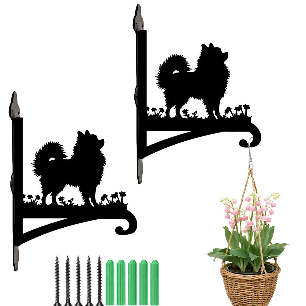 Pomeranian metal hanging basket bracket mounted on outdoor wall for plant decoration