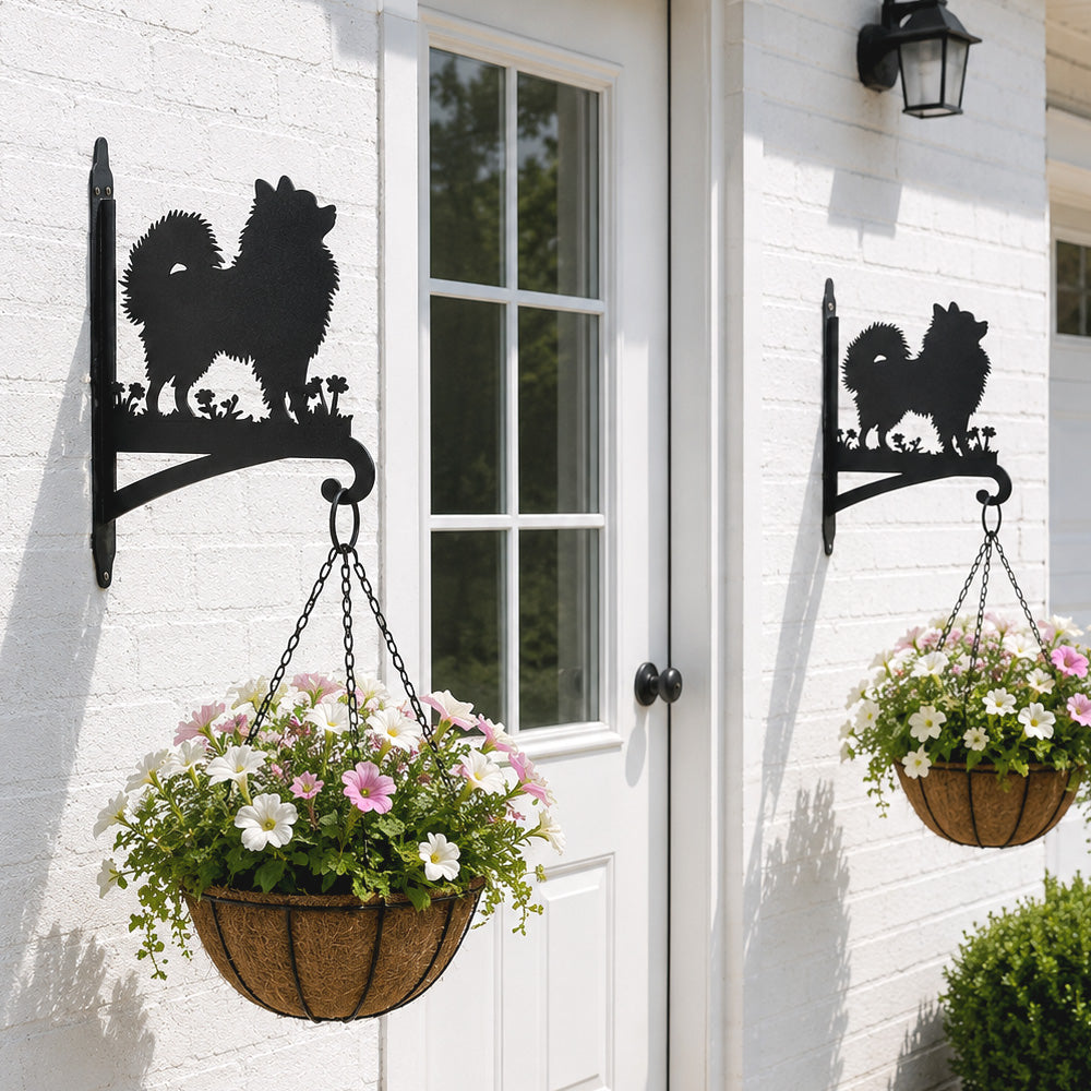 Pomeranian metal hanging basket bracket mounted on outdoor wall for plant decoration