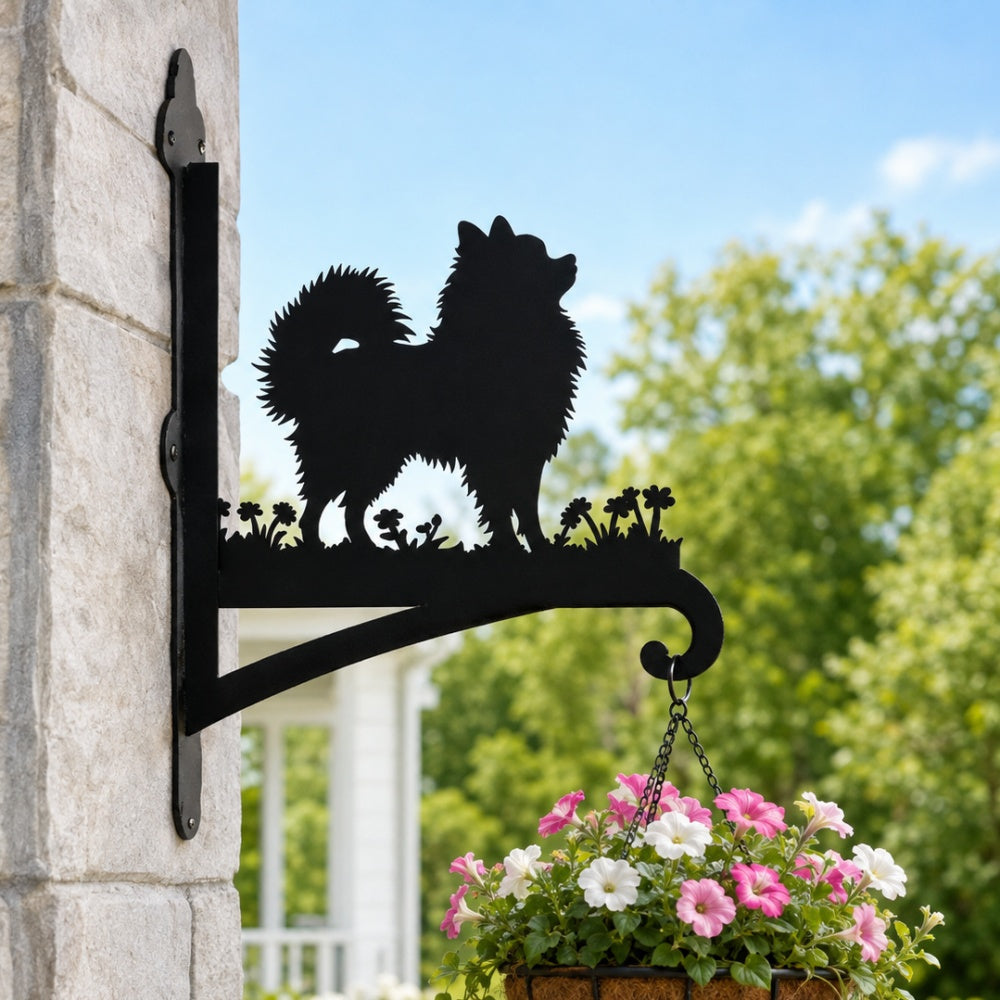 Pomeranian metal hanging basket bracket mounted on outdoor wall for plant decoration
