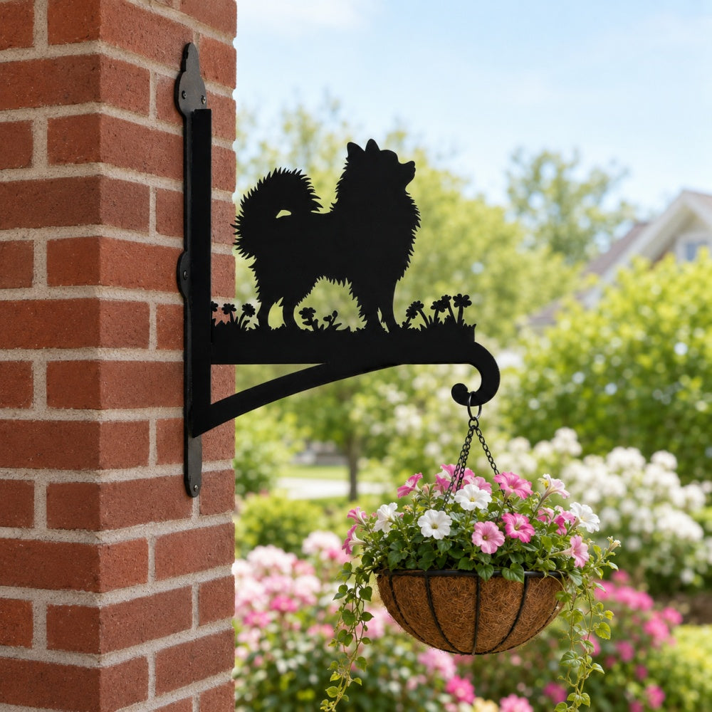 Pomeranian metal hanging basket bracket mounted on outdoor wall for plant decoration