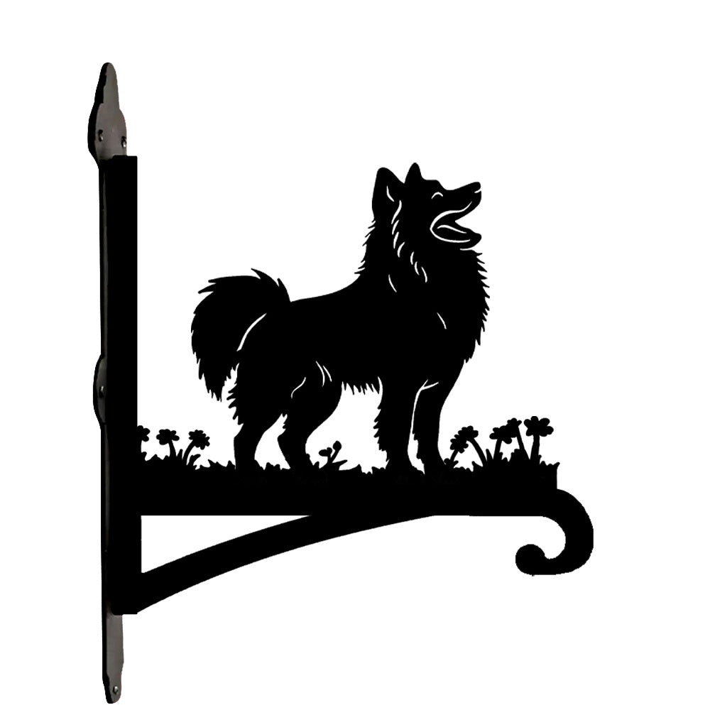 Pomeranian metal hanging basket bracket mounted on outdoor wall for plant decoration