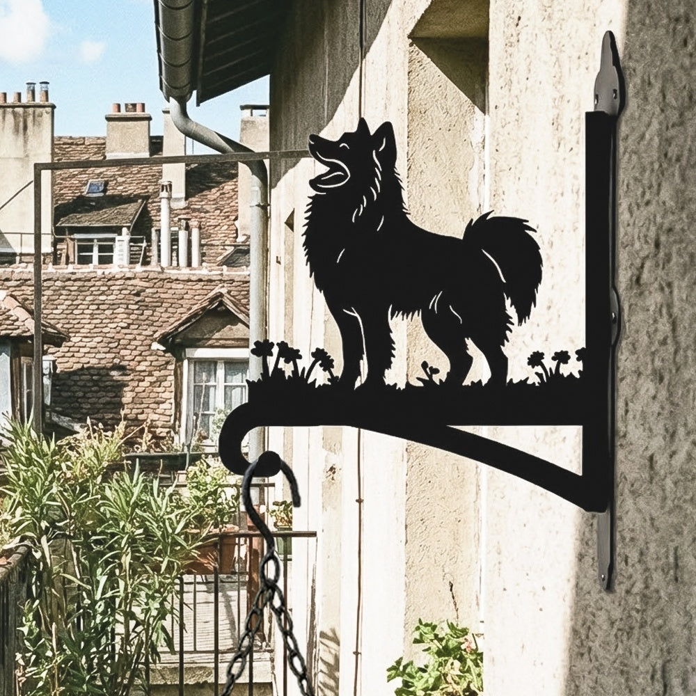Pomeranian metal hanging basket bracket mounted on outdoor wall for plant decoration