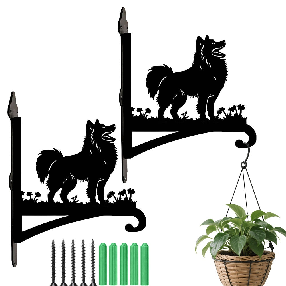 Pomeranian metal hanging basket bracket mounted on outdoor wall for plant decoration