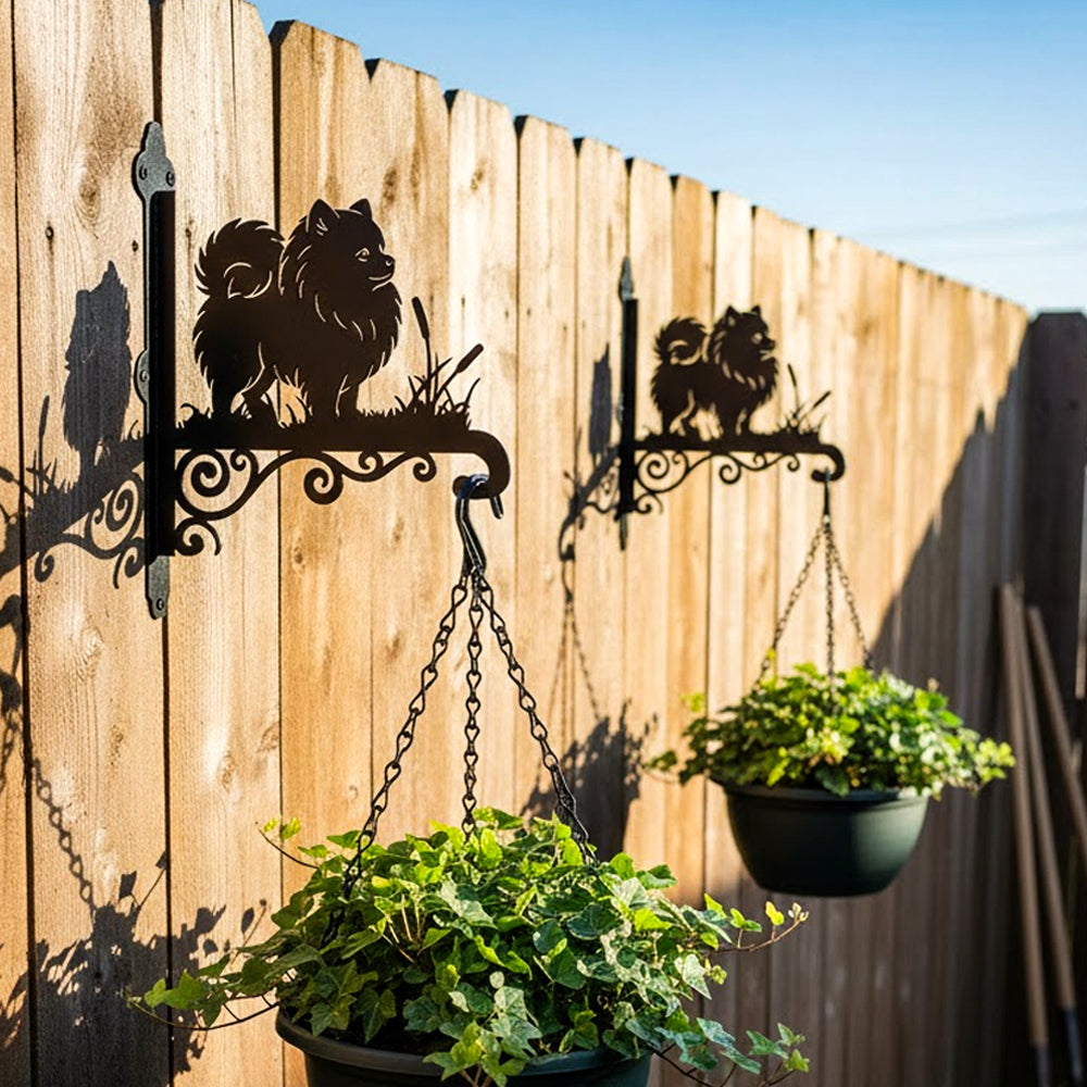 Pomeranian metal hanging basket bracket mounted on outdoor wall for plant decoration