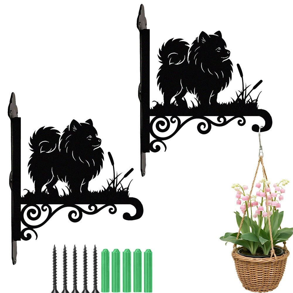 Pomeranian metal hanging basket bracket mounted on outdoor wall for plant decoration