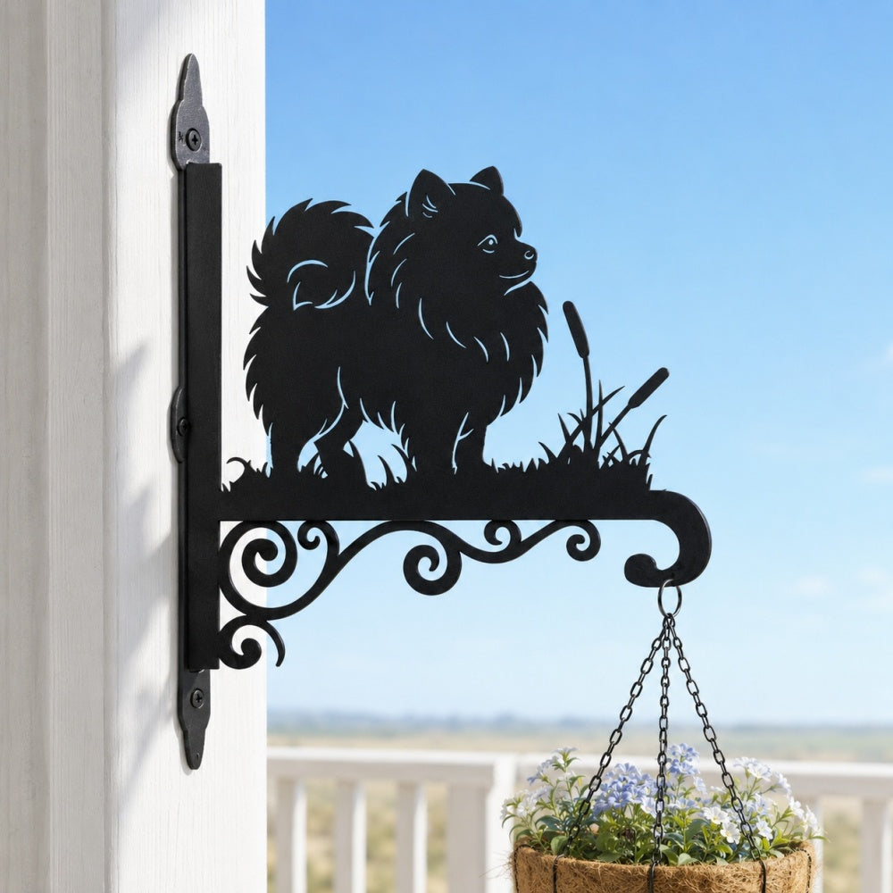 Pomeranian metal hanging basket bracket mounted on outdoor wall for plant decoration