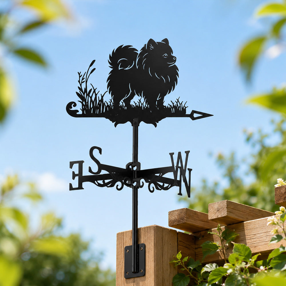 Pomeranian metal weather vane with directional arrows and mounting rod, outdoor roof and garden decoration