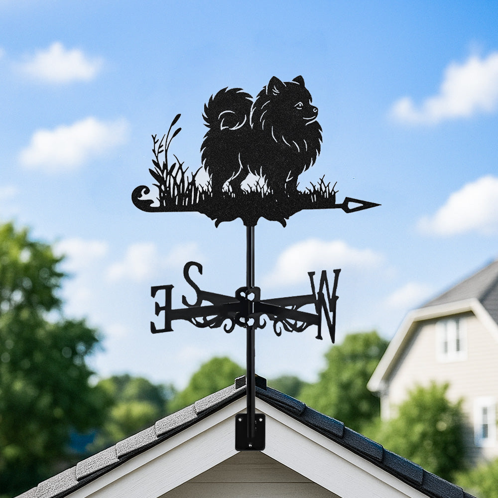 Pomeranian metal weather vane with directional arrows and mounting rod, outdoor roof and garden decoration