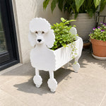 Poodle dog planter filled with fresh flowers is placed in the garden