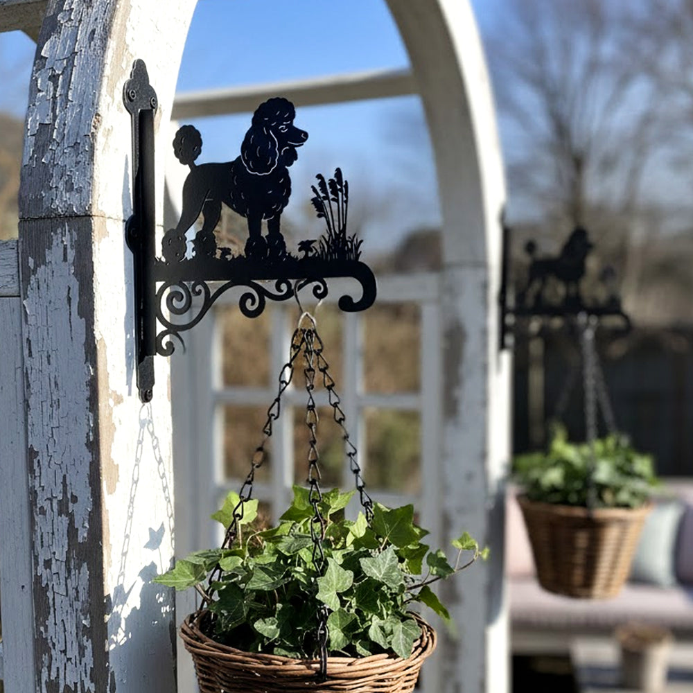 Poodle metal hanging basket bracket mounted on outdoor wall for plant decoration