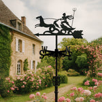 Poseidon metal weather vane with directional arrows and mounting rod, outdoor roof and garden decoration