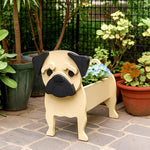 Fawn pug dog planter with black ears and face on a patio with plants in the background