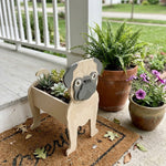 Fawn pug dog planter surrounded by various potted plants on a stone surface