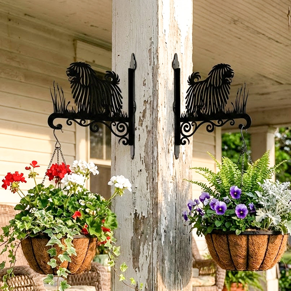 Puli metal hanging basket bracket mounted on outdoor wall for plant decoration
