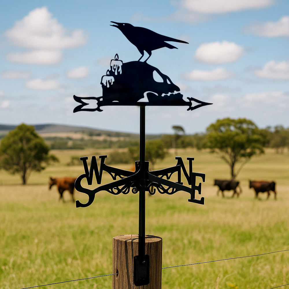 Raven on skull metal weather vane with directional arrows and mounting rod, outdoor roof and garden decoration