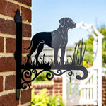 Rhodesian ridgeback metal hanging basket bracket mounted on outdoor wall for plant decoration