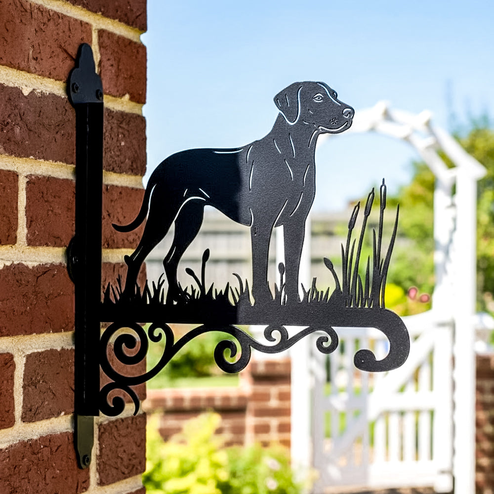 Rhodesian ridgeback metal hanging basket bracket mounted on outdoor wall for plant decoration
