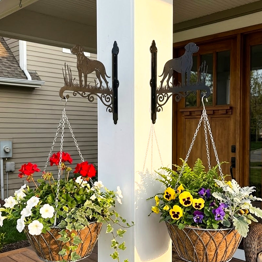 Rhodesian ridgeback metal hanging basket bracket mounted on outdoor wall for plant decoration
