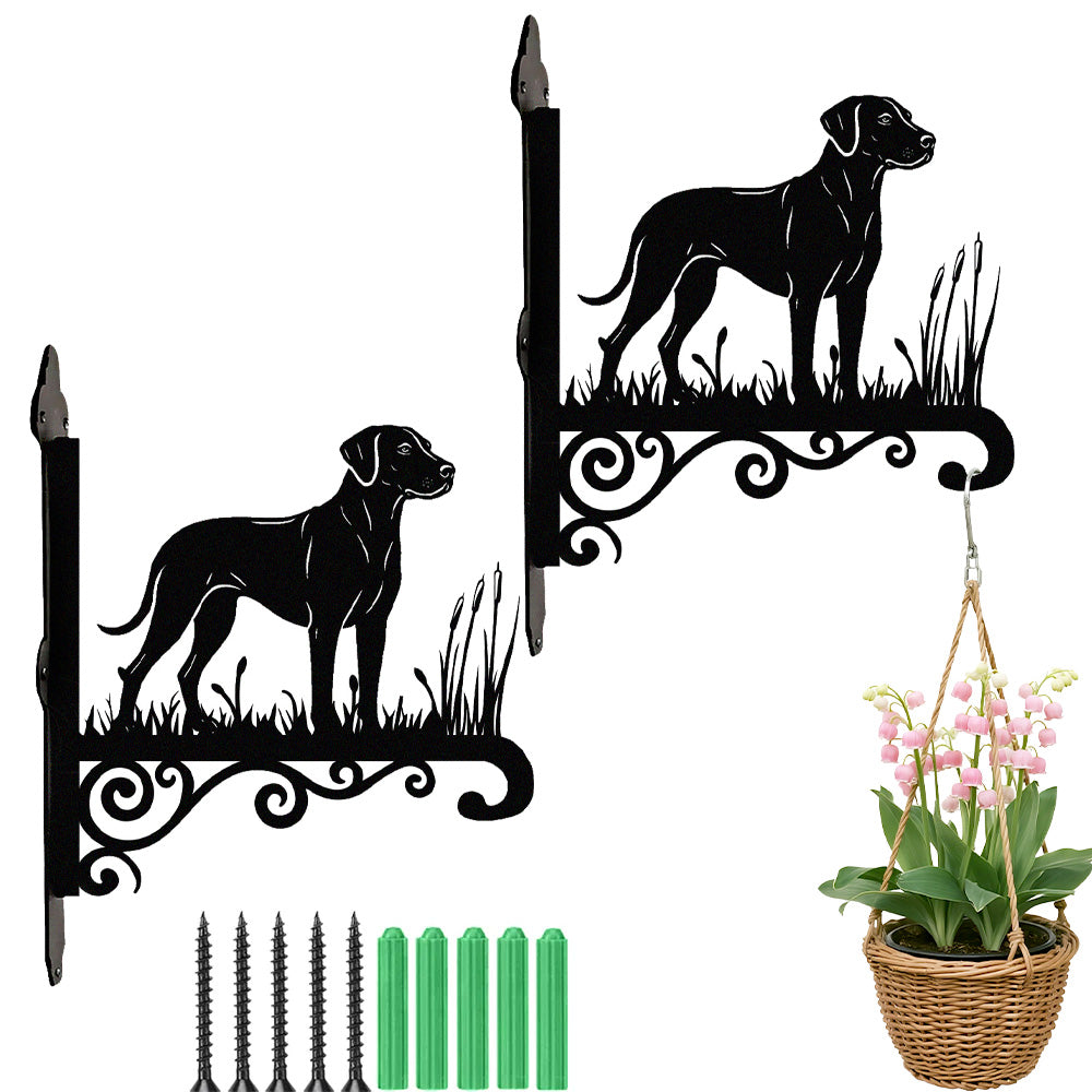 Rhodesian ridgeback metal hanging basket bracket mounted on outdoor wall for plant decoration