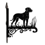 Rhodesian ridgeback metal hanging basket bracket mounted on outdoor wall for plant decoration
