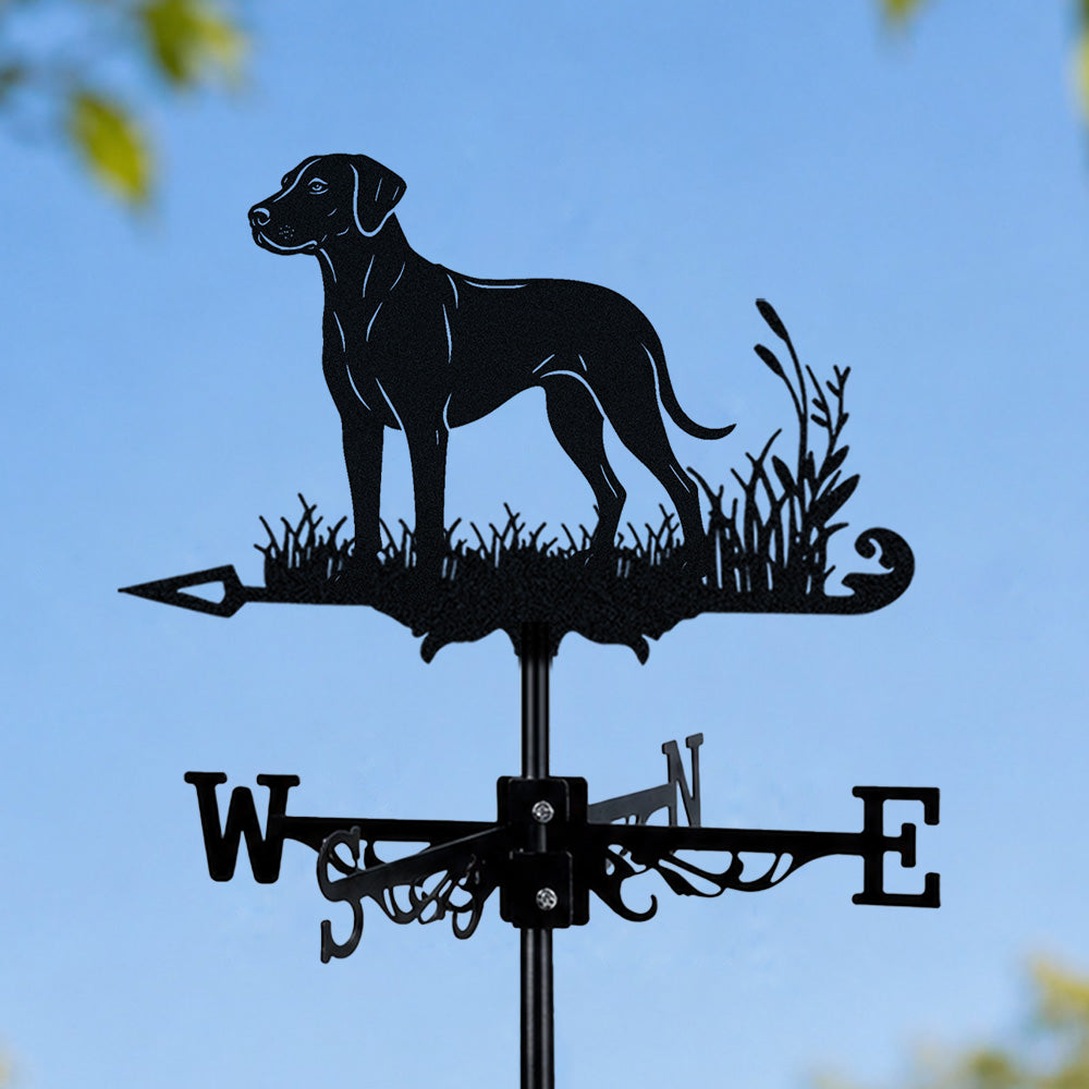 Rhodesian ridgeback metal weather vane with directional arrows and mounting rod, outdoor roof and garden decoration