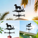 Rhodesian ridgeback metal weather vane with directional arrows and mounting rod, outdoor roof and garden decoration