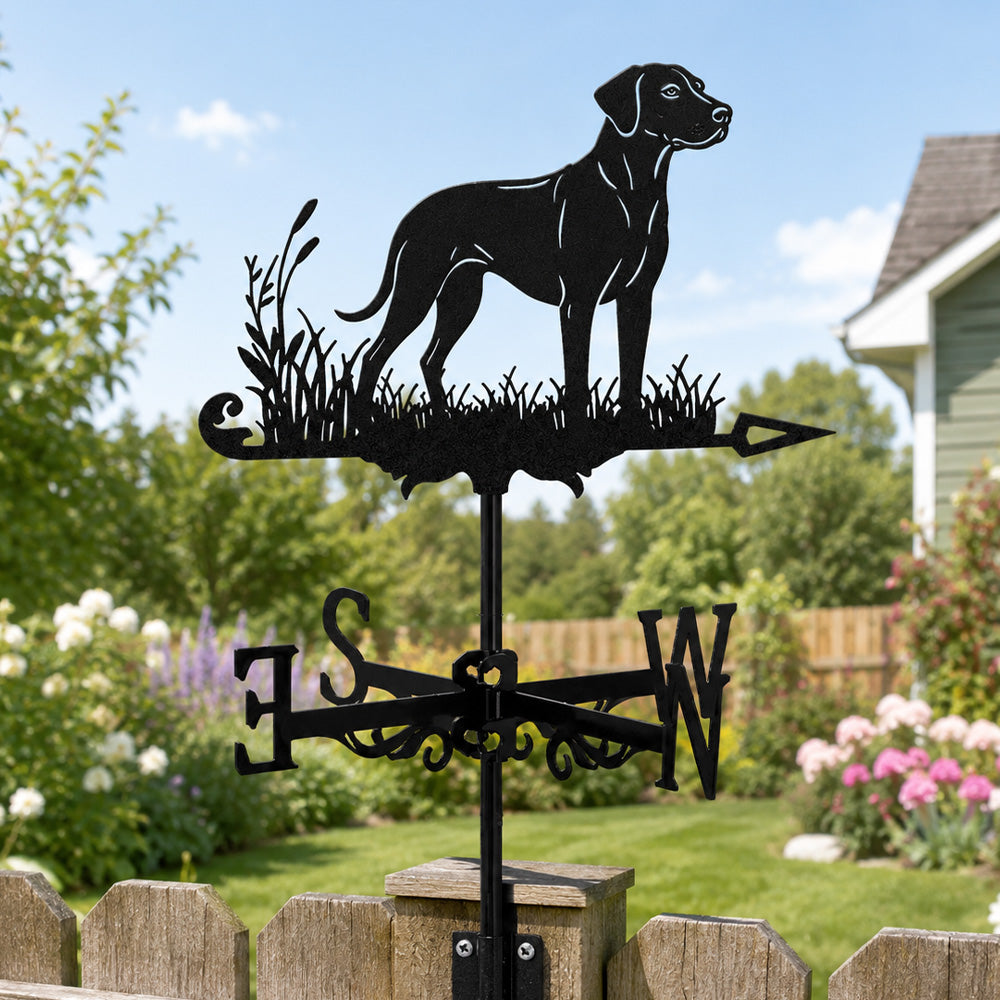 Rhodesian ridgeback metal weather vane with directional arrows and mounting rod, outdoor roof and garden decoration