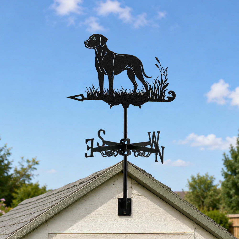 Rhodesian ridgeback metal weather vane with directional arrows and mounting rod, outdoor roof and garden decoration