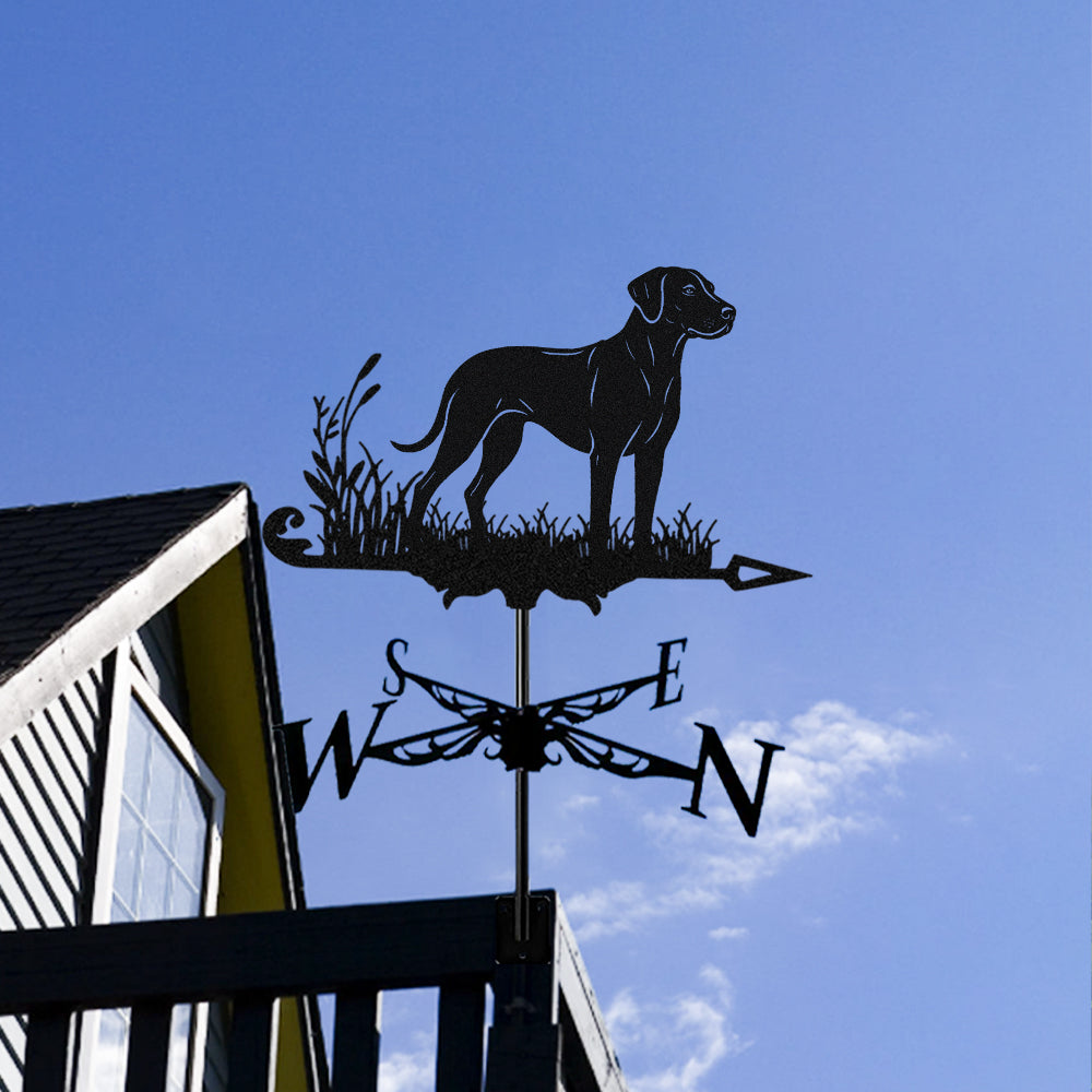 Rhodesian ridgeback metal weather vane with directional arrows and mounting rod, outdoor roof and garden decoration