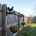 Rooster metal hanging basket bracket mounted on outdoor wall for plant decoration