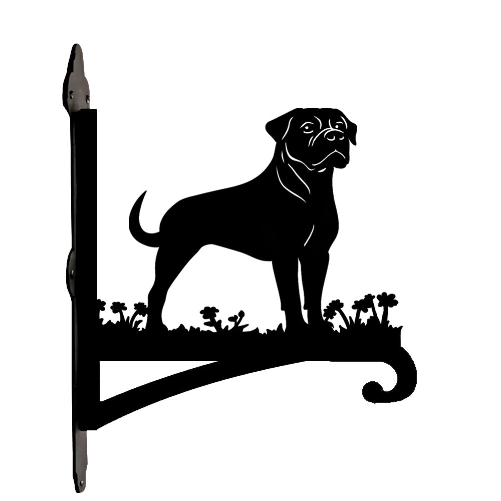 Rottweiler metal hanging basket bracket mounted on outdoor wall for plant decoration