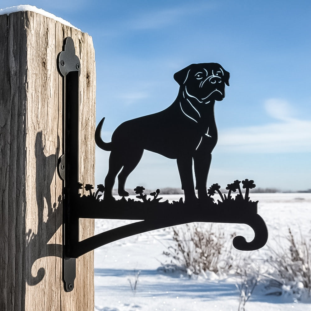 Rottweiler metal hanging basket bracket mounted on outdoor wall for plant decoration